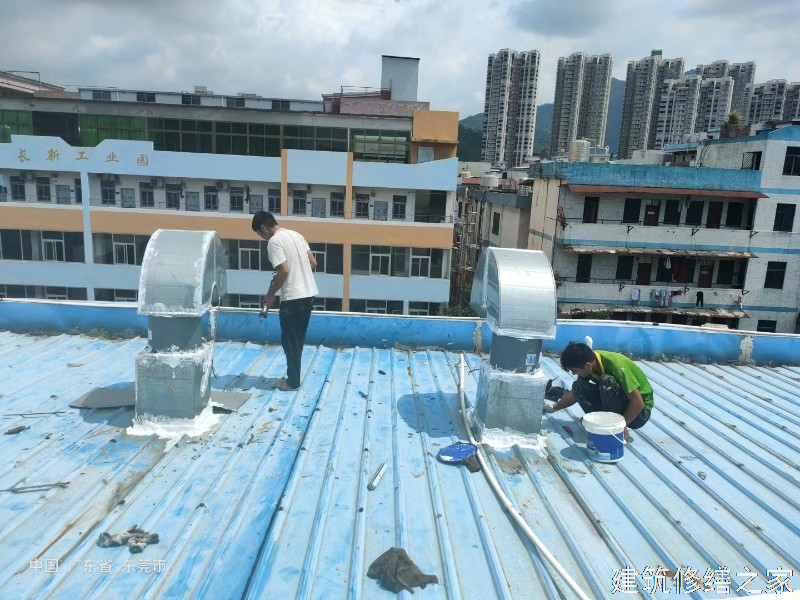 淮南2026凤台县 彩钢瓦屋面防水 排名前十的源头厂家